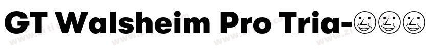GT Walsheim Pro Tria字体转换